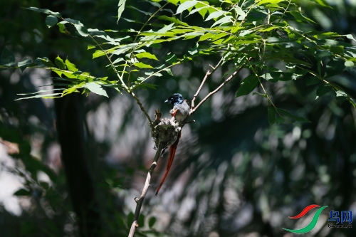 DPP_1094.JPG