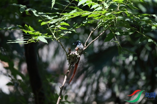 DPP_1089.JPG