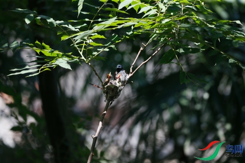 DPP_1096.JPG