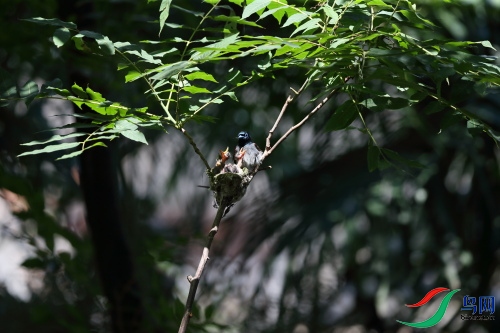 DPP_1097.JPG