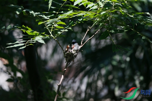 DPP_1100.JPG