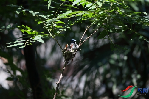 DPP_1101.JPG