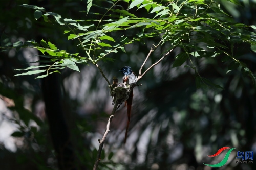 DPP_1105.JPG