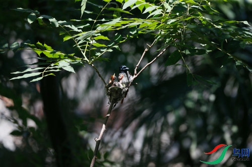 DPP_1102.JPG