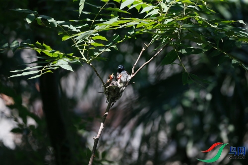 DPP_1098.JPG