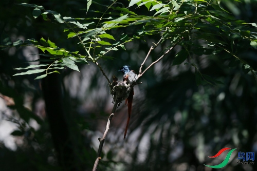 DPP_1120.JPG