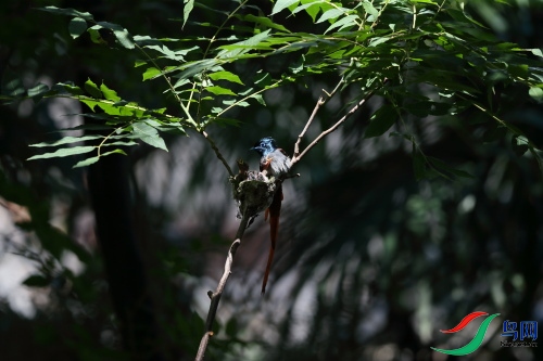 DPP_1119.JPG