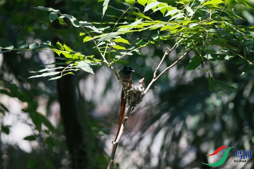 DPP_1124.JPG