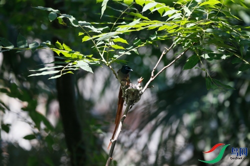 DPP_1128.JPG