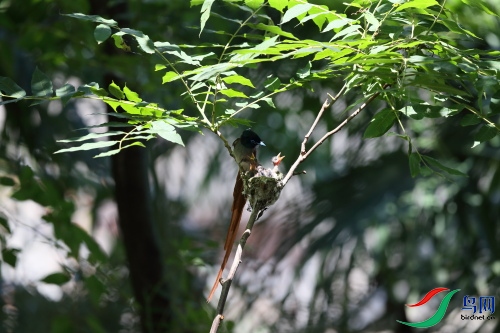 DPP_1131.JPG