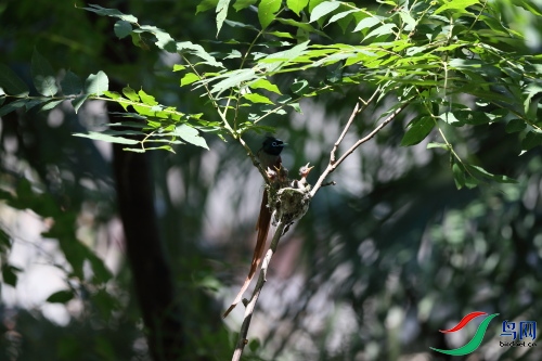 DPP_1135.JPG