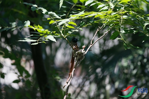 DPP_1140.JPG