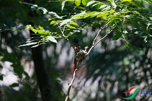 DPP_1146.JPG