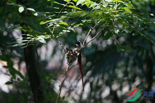 DPP_1162.JPG