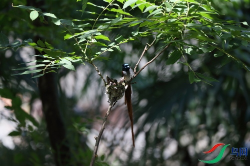 DPP_1157.JPG