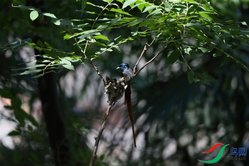 DPP_1169.JPG