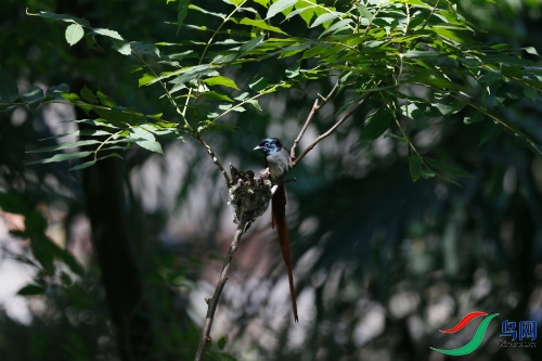 DPP_1168.JPG