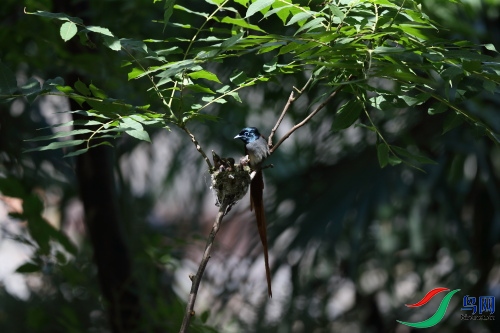 DPP_1171.JPG
