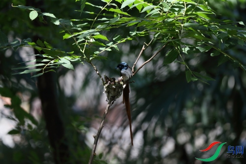 DPP_1175.JPG