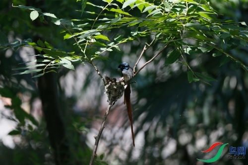 DPP_1180.JPG