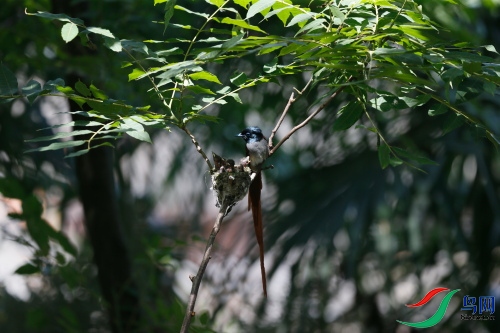 DPP_1188.JPG