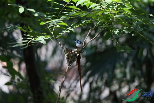 DPP_1197.JPG