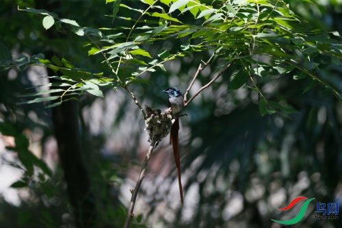 DPP_1202.JPG