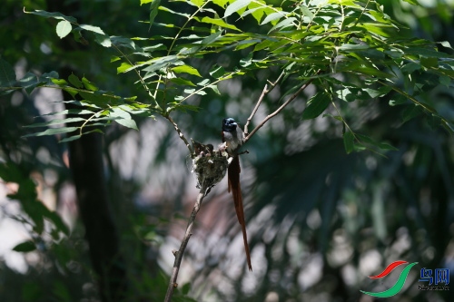 DPP_1212.JPG
