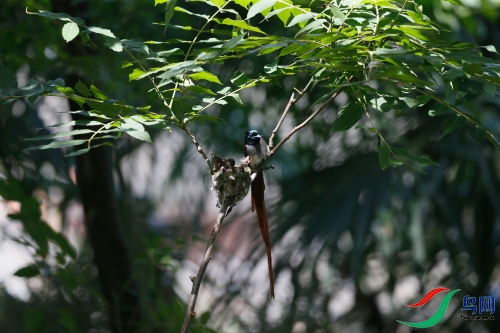 DPP_1210.JPG