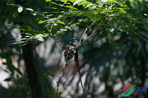 DPP_1214.JPG