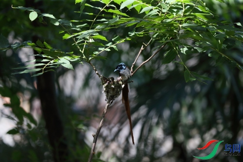 DPP_1215.JPG