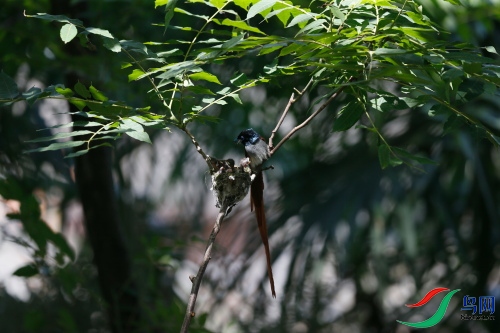 DPP_1220.JPG