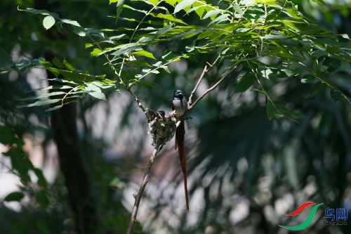 DPP_1226.JPG