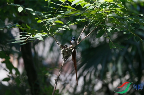DPP_1232.JPG