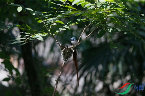 DPP_1234.JPG