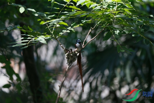 DPP_1230.JPG