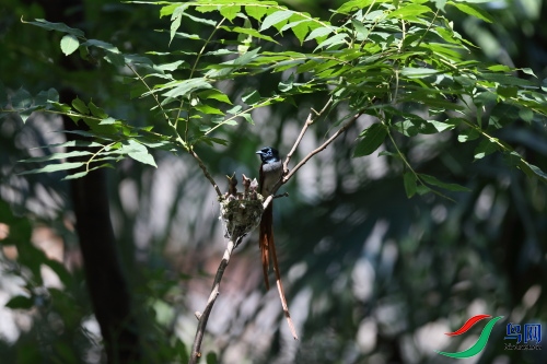 DPP_1241.JPG