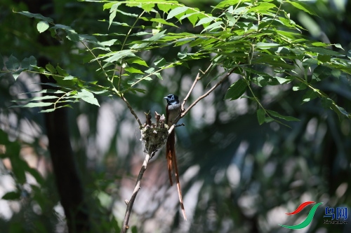 DPP_1237.JPG