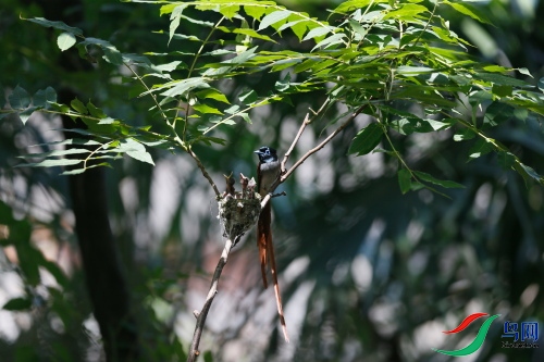 DPP_1238.JPG