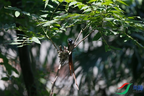 DPP_1246.JPG
