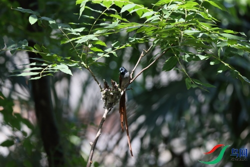 DPP_1249.JPG