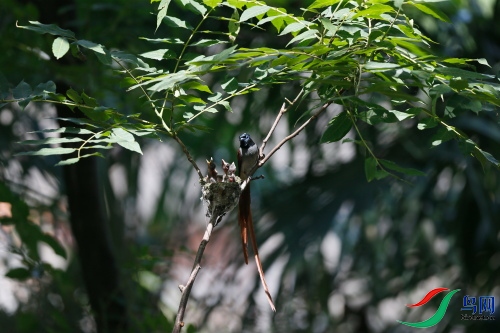 DPP_1244.JPG