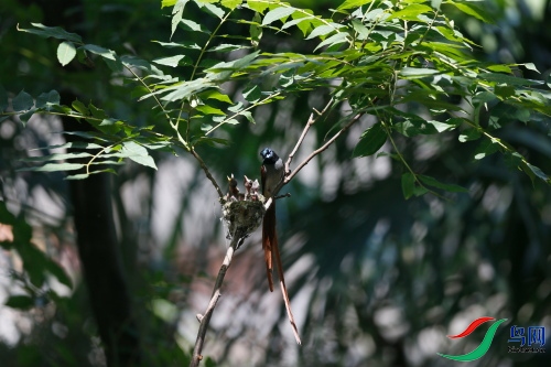 DPP_1248.JPG