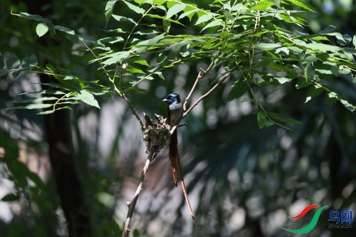 DPP_1257.JPG