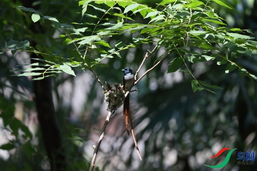 DPP_1265.JPG