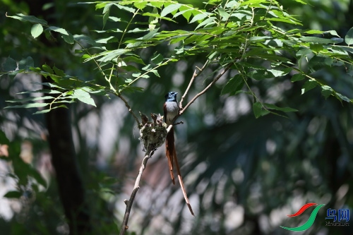 DPP_1273.JPG