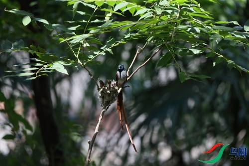 DPP_1275.JPG