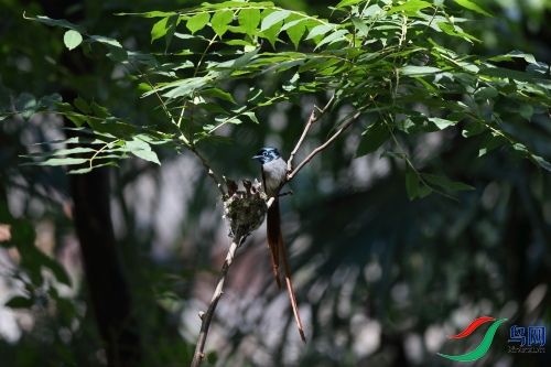 DPP_1281.JPG