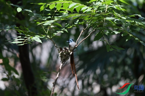 DPP_1279.JPG
