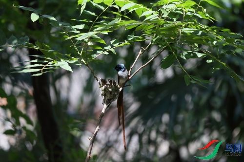 DPP_1285.JPG